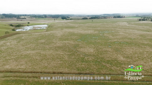 DA VARZEA ATE O GADO NA COXILHA.00_00_21_12.Quadro003_38140d9db30484689556792f006b4391fe120025.jpg